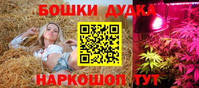 сатива Гудермес