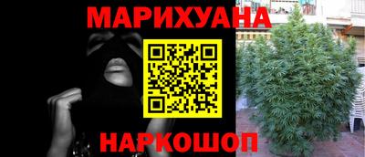 сатива Гудермес