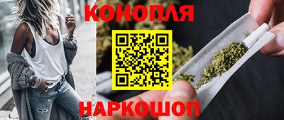 сатива Гудермес