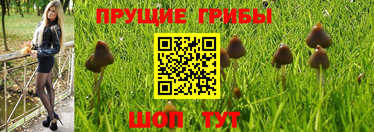 Псилоцибиновые грибы ЛСД  Вход с VPN  Богданович 